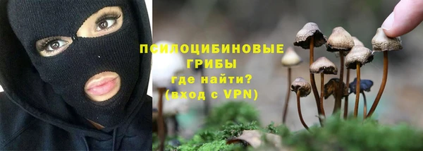 СК Балахна