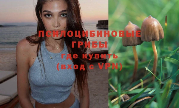 ALPHA-PVP Арсеньев