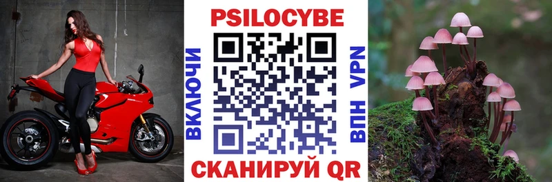 где купить   Нурлат  Галлюциногенные грибы Cubensis 